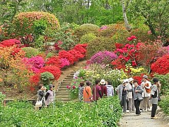 素晴らしい散策路