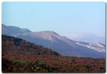 ȘA