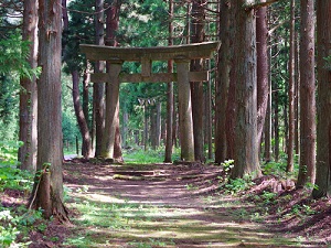 神社参道